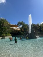 IMG_4419.jpeg