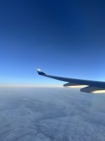 IMG_4531.JPEG