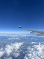 IMG_4532.JPEG