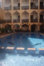 IMG_7762.JPG