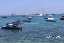 IMG_7733.JPG