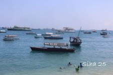 IMG_7736.JPG