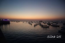 IMG_7765.JPG