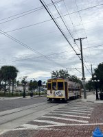 IMG_7084.jpeg