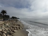 IMG_9010.JPG