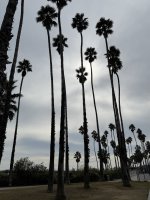 IMG_9056.JPG