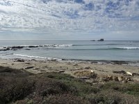 IMG_9171.JPG