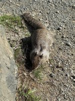 IMG_9241.JPG