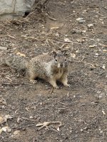 IMG_9306.JPG