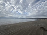 IMG_9354.JPG