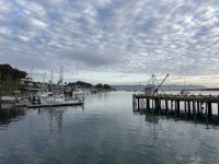 IMG_9361.JPG