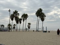 IMG_9398.JPG