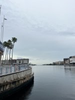 IMG_7252.jpeg