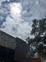 IMG_7362.jpeg IMG_7362.jpeg