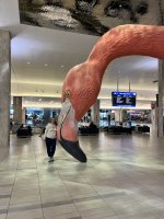 IMG_7374.jpeg IMG_7374.jpeg