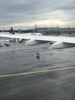 IMG_7442.jpeg IMG_7442.jpeg