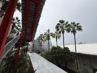 IMG_9658.JPG