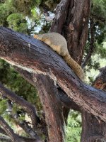 IMG_9681.JPG