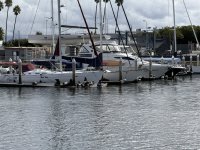 IMG_9691.JPG