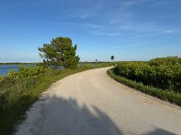 IMG_4219.jpg