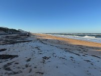IMG_4313.jpg