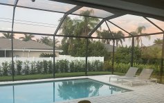 IMG_1519.jpeg
