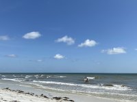 IMG_8672.jpeg