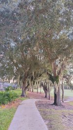 IMG_20251024_072540_HDR.jpg