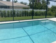 IMG_1583.jpeg