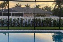 IMG_1600.jpeg