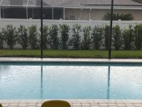 IMG_1616.jpeg