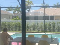 IMG_1649.jpeg
