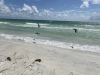 IMG_8541.jpeg