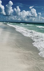 IMG_8589.jpeg