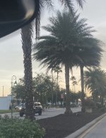 IMG_1704.jpeg
