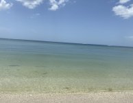 IMG_1738.jpeg