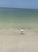 IMG_1743.jpeg