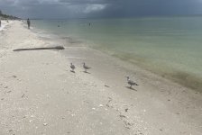 IMG_1750.jpeg