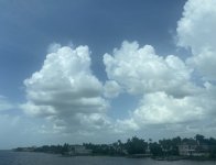IMG_1762.jpeg