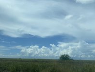 IMG_1767.jpeg