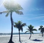 IMG_1791.jpeg