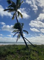 IMG_6441.jpeg