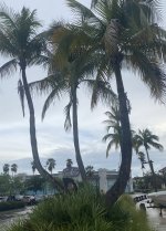 IMG_1778.jpeg