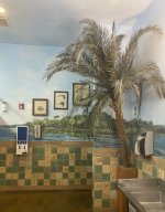 IMG_1782.jpeg