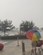 IMG_7070.jpeg