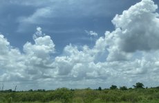 IMG_1854.jpeg