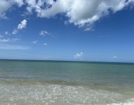 IMG_5436.jpeg
