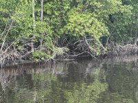 IMG_5053.JPG