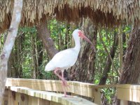 IMG_0662.JPG