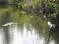 PA278060.JPG